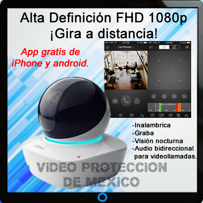 camara ip con alarma